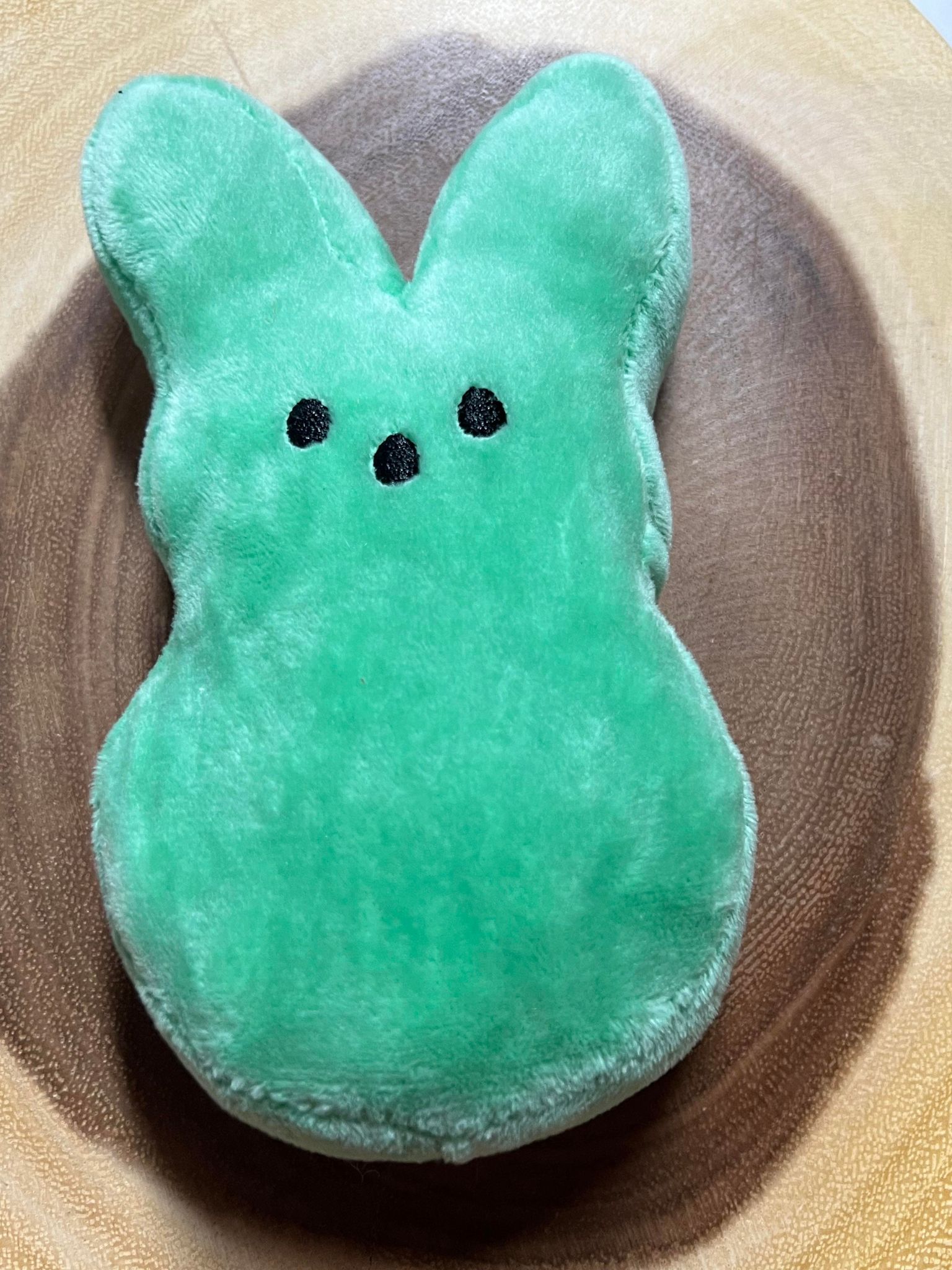 6” Green Stuffie